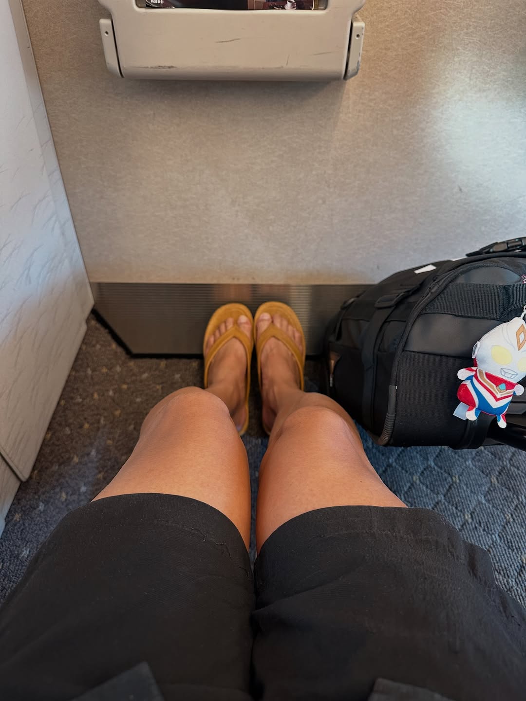 藤沢市観光親善大使タレント、”海近民のワルい癖”に「マッチしてて笑う」と共感の声！