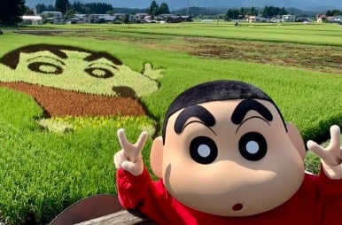 巨大なしんちゃんが出現！？　クレヨンしんちゃんの田んぼアートが話題に