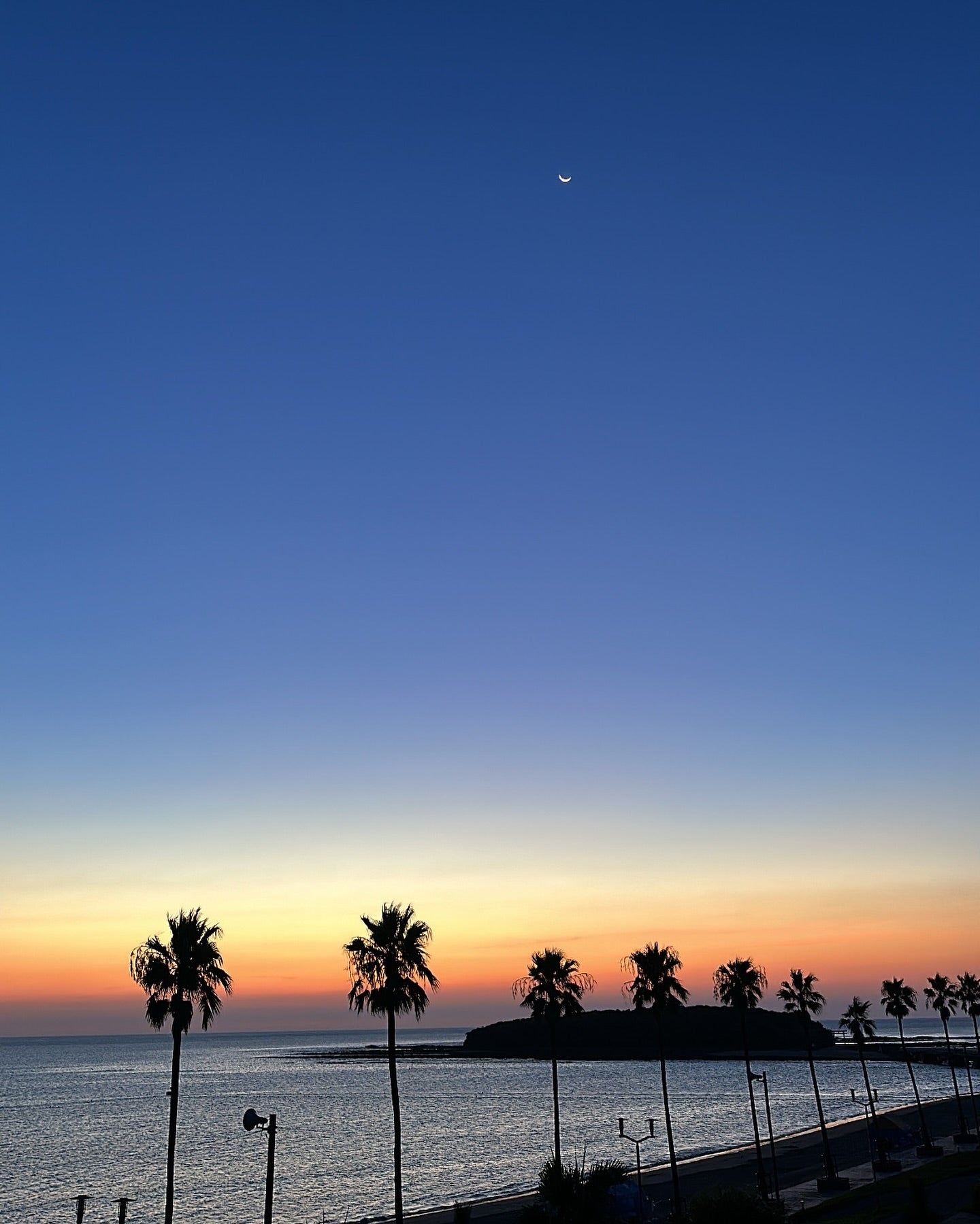 あの人気タレントが自身の夏休みを公開！