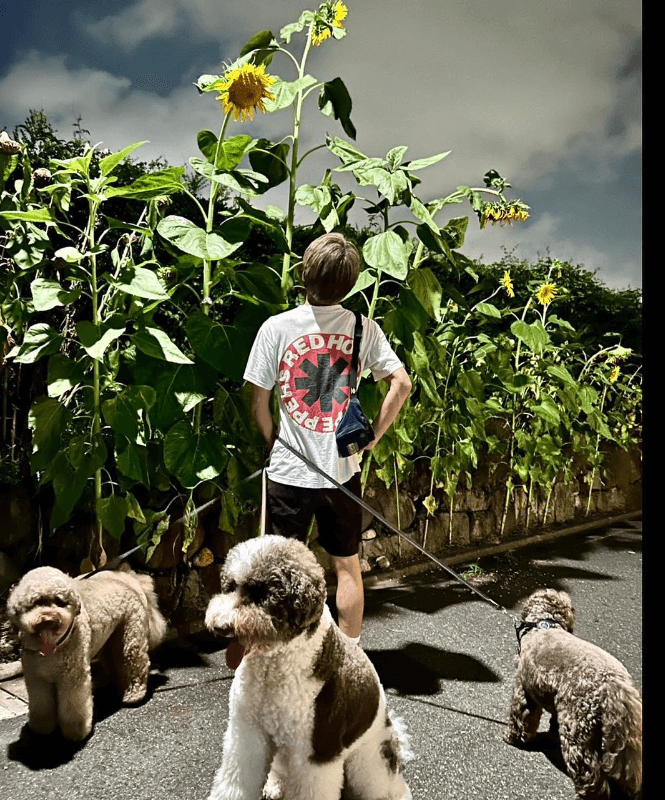 木村拓哉、久々に再会した“のっぽの向日葵”に感動！自然の力を感じたひと時をシェア