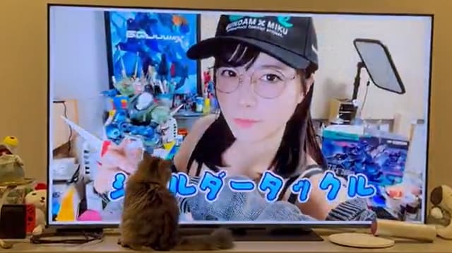 東雲うみの編集動画は猫がチェック！？画面を見つめる愛猫の姿が可愛すぎると話題に