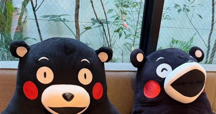 熊本の名店「むつ五郎」へ！彦摩呂、絶品馬肉のシャトーブリアンを堪能