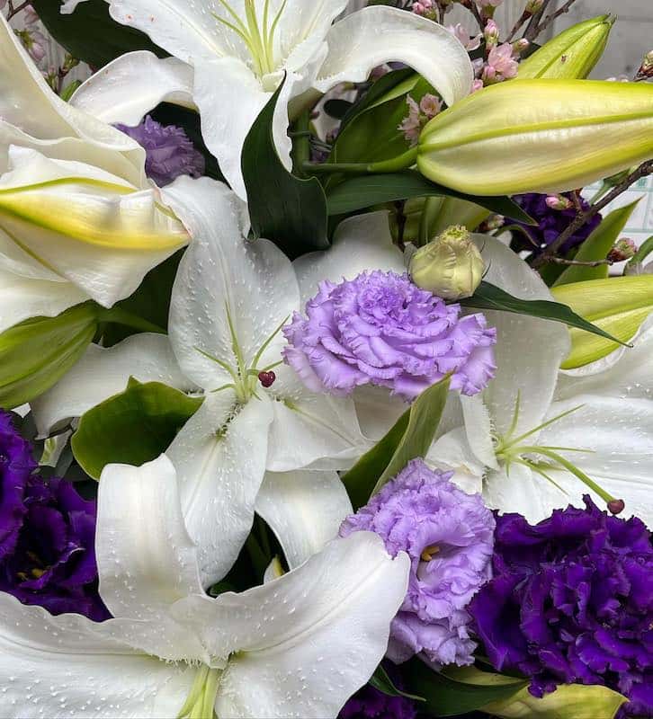 工藤静香が娘kokiの由来を公開👀💐