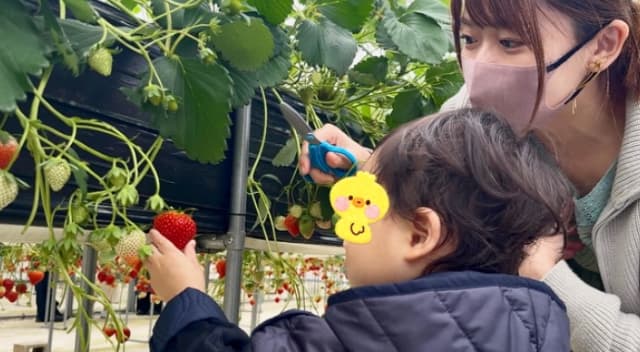 「めっちゃくちゃ楽しくて」尾崎里紗が初のいちご狩りを満喫