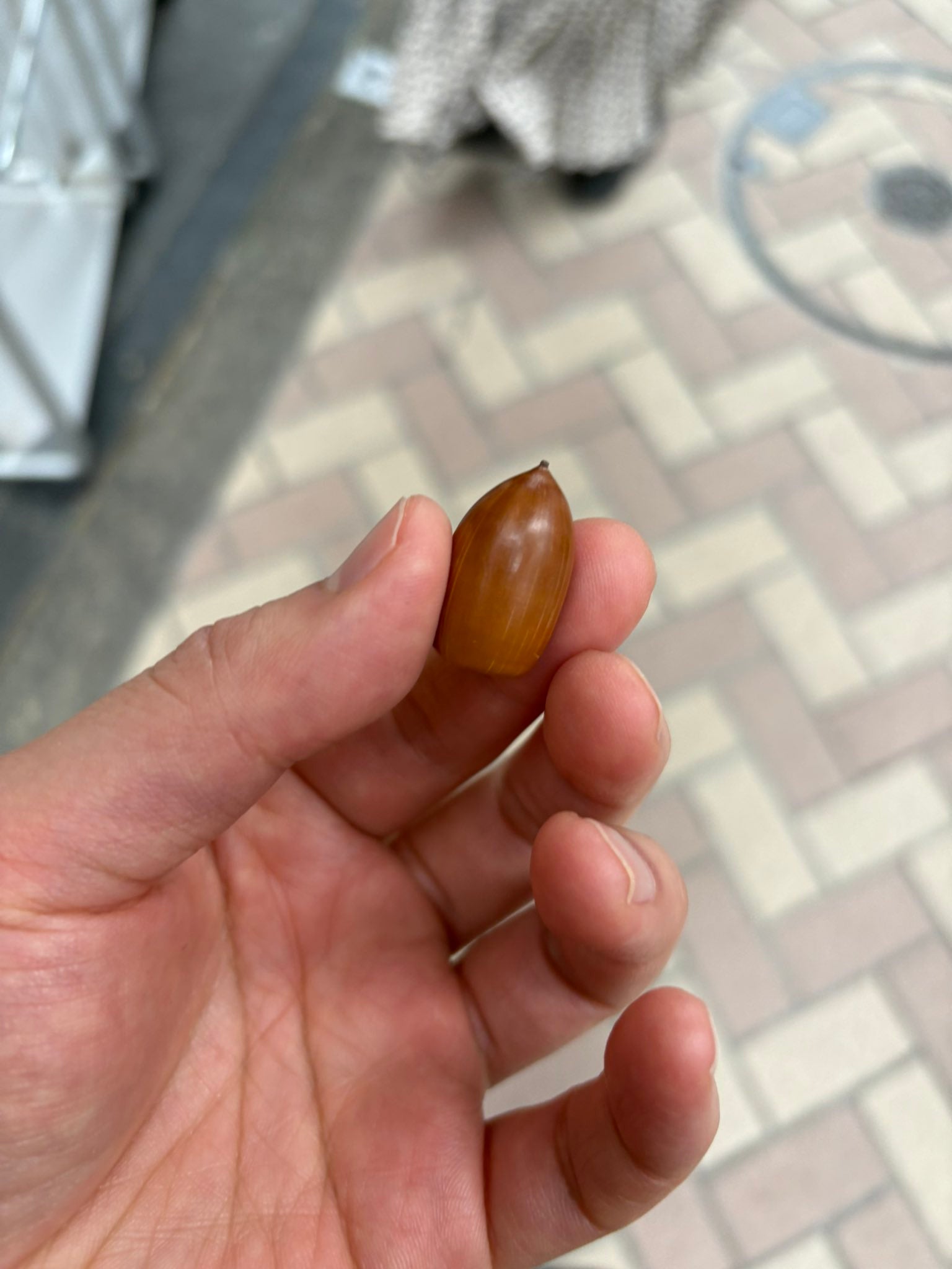 「神棚に飾ろう」見取り図・リリーがキングオブコント優勝のラブレターズから貰った