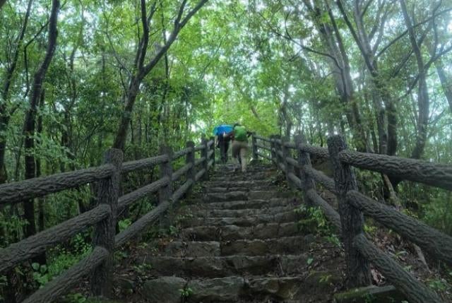 自転車ロードレース・唐見実世子「大自然の洗礼を受けつつ」豪雨の熊野古道デビュー報告