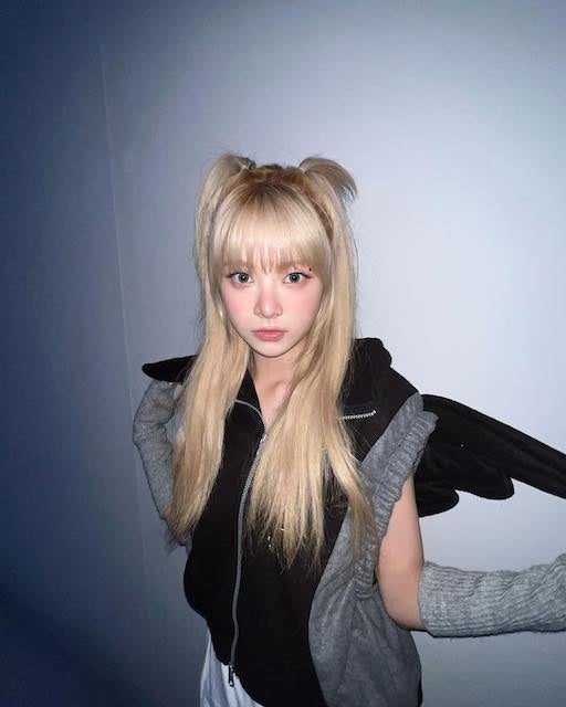 天使？悪魔？LE SSERAFIM・ウンチェの背中に羽根が！