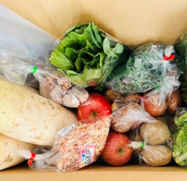 にしおかすみこがいただきものの野菜で作り置きおかずを作る！