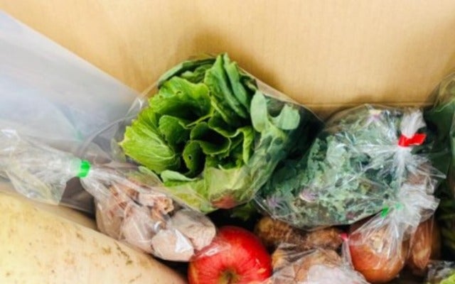 にしおかすみこがいただきものの野菜で作り置きおかずを作る！