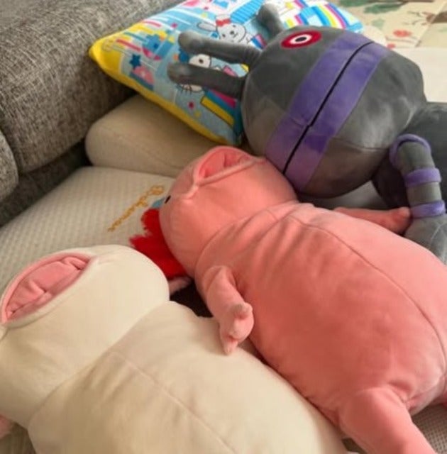 丸山桂里奈家のダダンダンがついにみんなの仲間入り！？