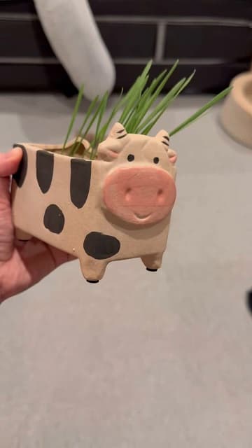 「作ってよかった～」やす子が愛猫に”手作り猫草”をプレゼント！食べる姿にファンも歓喜