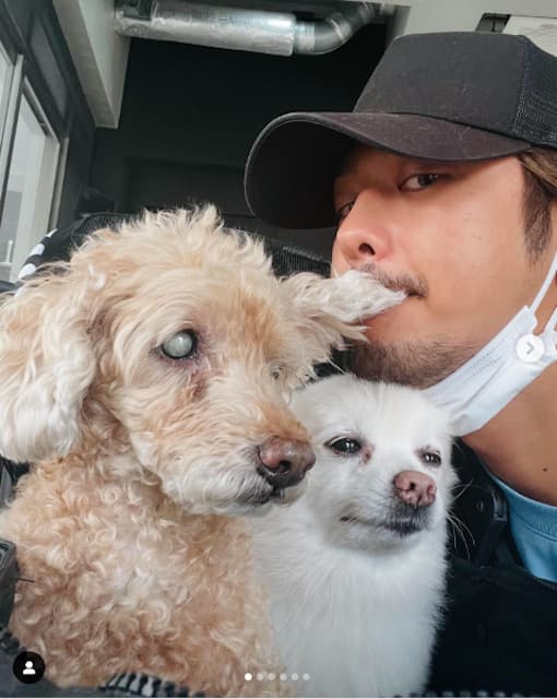 速水もこみちが愛犬との様子をいろいろ公開