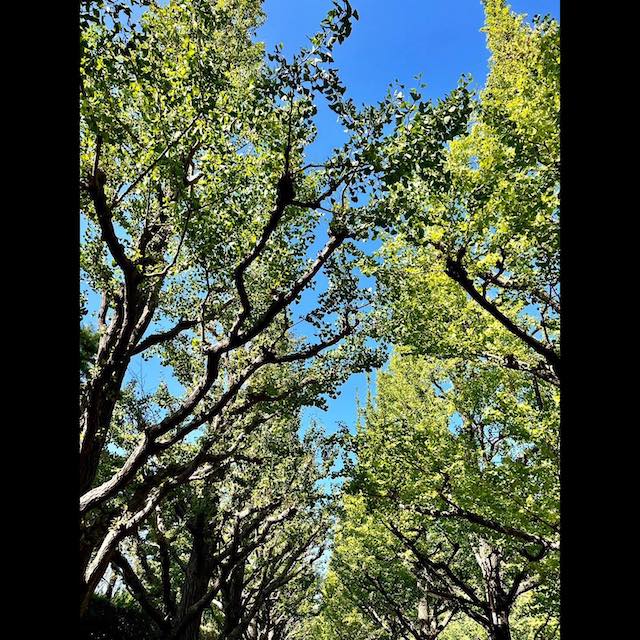 進退に注目が集まる木村拓哉がインスタ更新👀「皆さん、良い週末を。」