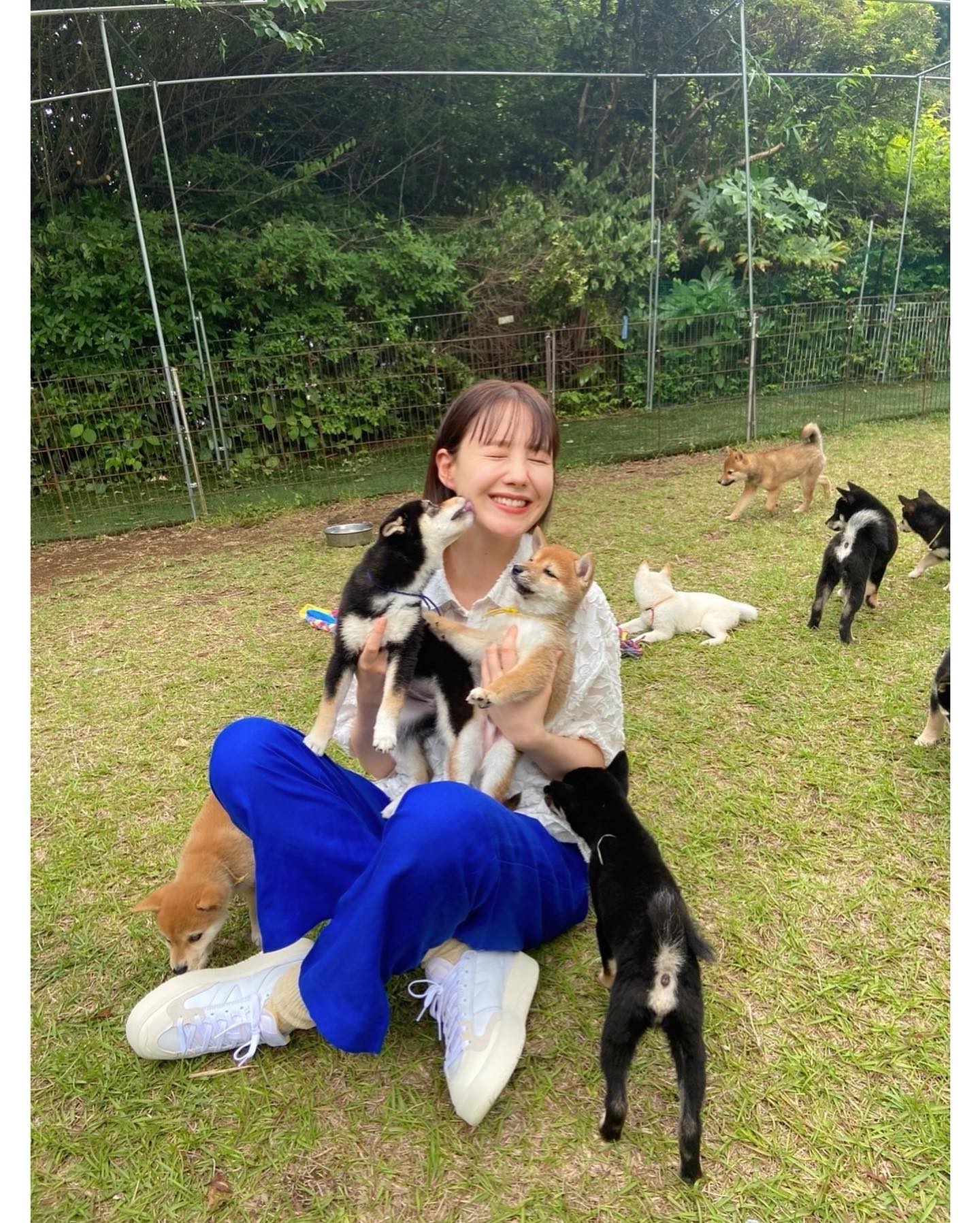 豆柴🐶と遊ぶトリンドル玲奈さんの笑顔が超天使👼💗