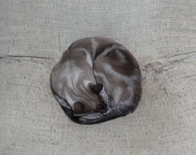 あのお笑いコンビの自宅に“スーパームーン”が！？「可愛くてキレイでまんまるなお月様ですね」