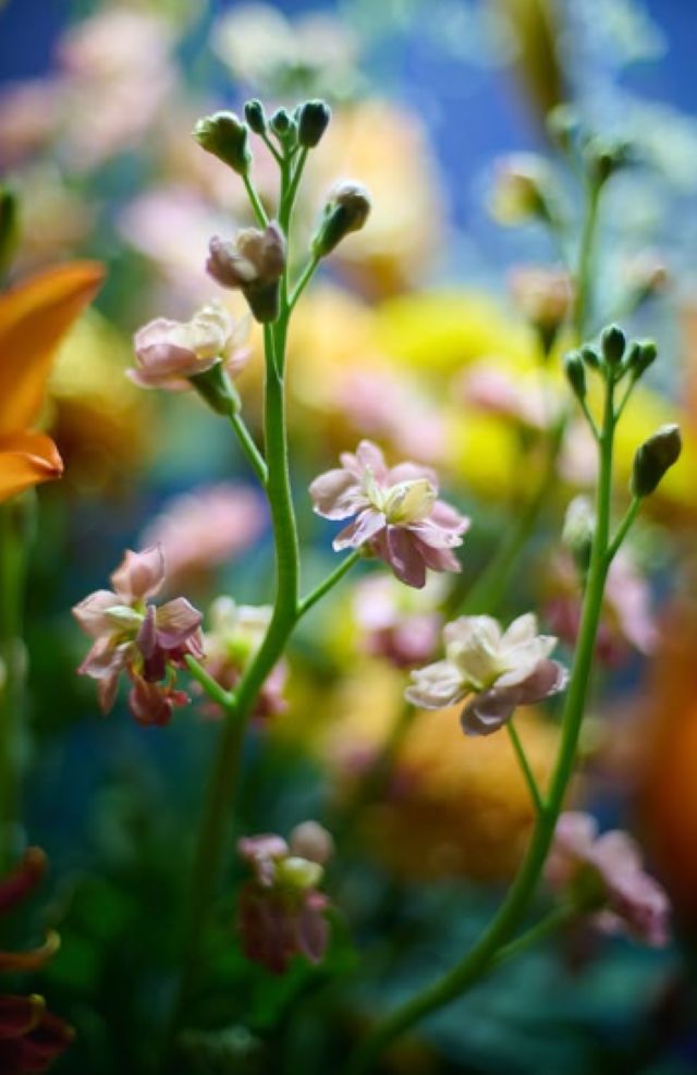 幻想的で思わず見とれる！かが屋・加賀翔が近況を報告