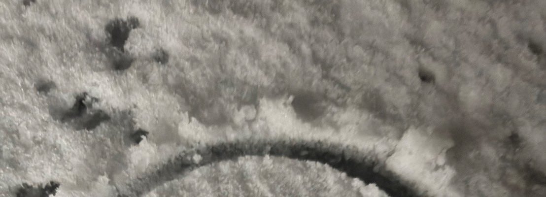 M!LK・佐野勇斗　雪の上に描いたのは…？？無邪気に遊ぶ姿が可愛すぎると話題に！