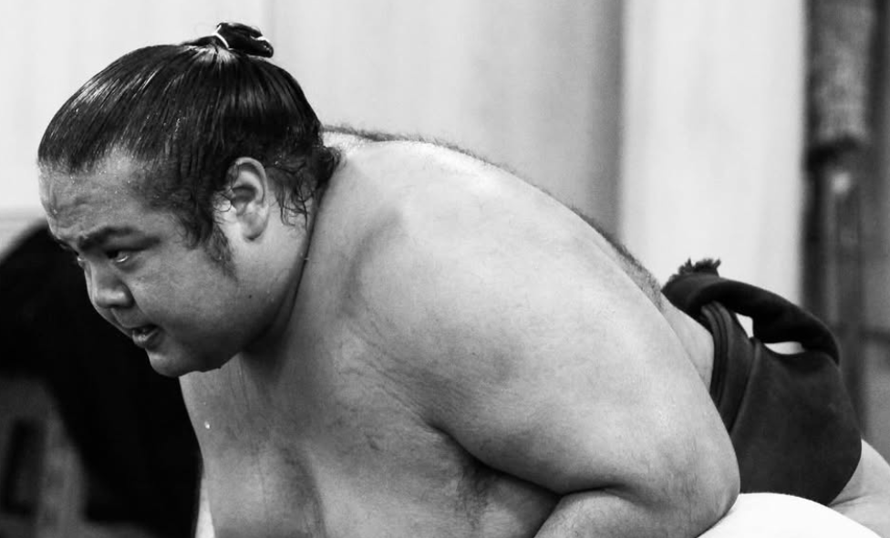 「3連勝で絶好調」放駒部屋・一山本、白星街道を快進撃！名古屋場所で存在感放つ