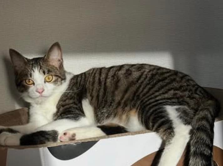 「かっこいいずるい」ロコディ・堂前が思わず嫉妬する相手とは…？