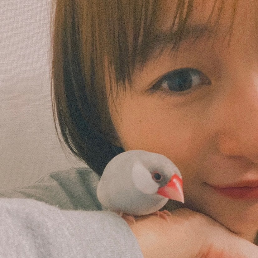 女優・萩原みのりが芸能界引退を発表「たくさんたくさん悩んで決めました」