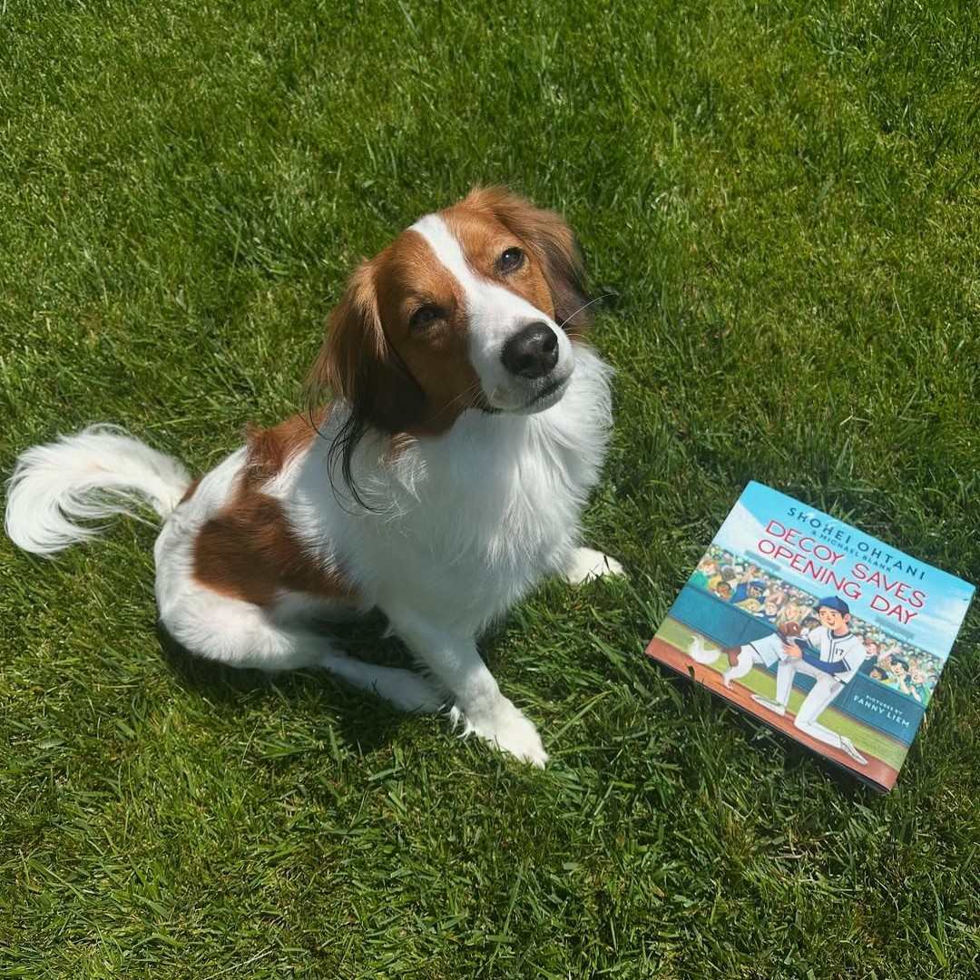 大谷翔平が絵本作家に？！愛犬デコピン主人公の絵本発売が決定！売上はすべて動物保護団体の支援に