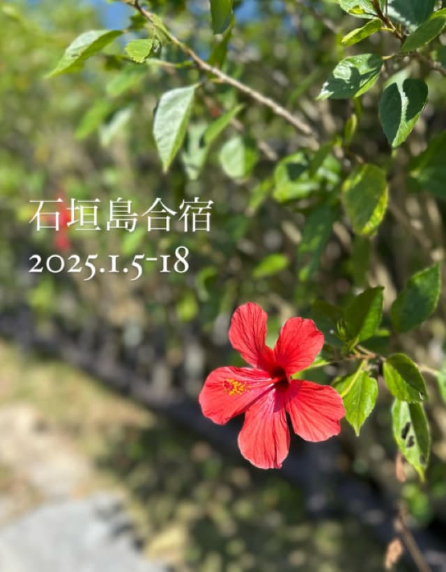 「良き練習ができました」山縣亮太が石垣島で合宿を開催