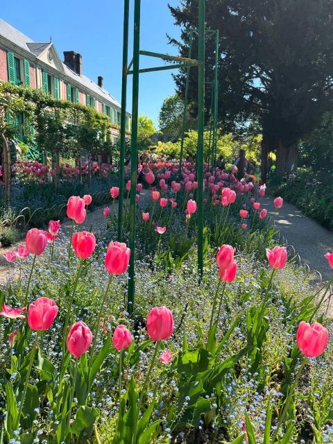 高岡早紀が切り取った春の風景。チューリップに心ときめく