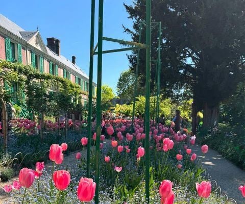 高岡早紀が切り取った春の風景。チューリップに心ときめく