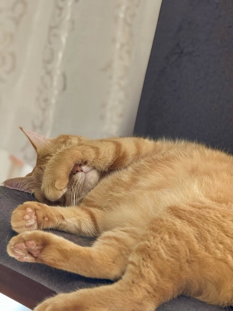 癒しの瞬間！佐々木美玲、