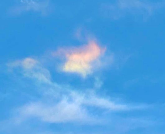 「幸運の前触れですかね！！」西川貴教が珍しい雲を発見したことを報告