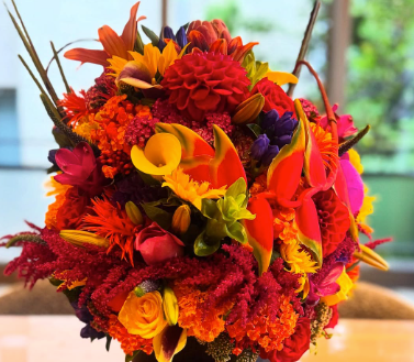 体操・田中理恵、38歳スタートに感謝「家族と皆様にありがとう」