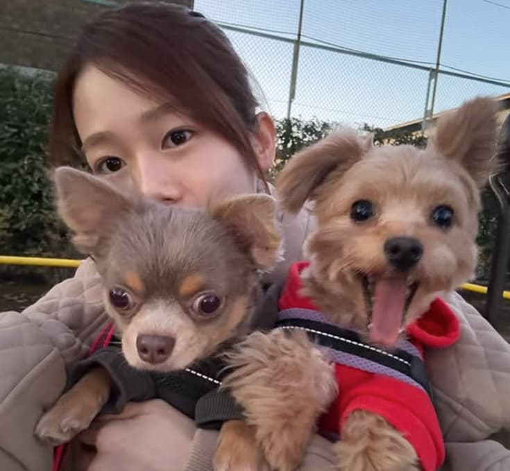 「画面みんなかわいい」川口葵、自身の愛犬たちとのトリプルフーディショットを披露