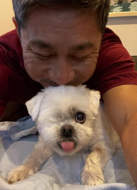 「今日はアンジェロの月命日です」元サッカー選手・前園真聖が今は亡き愛犬に思いをはせる