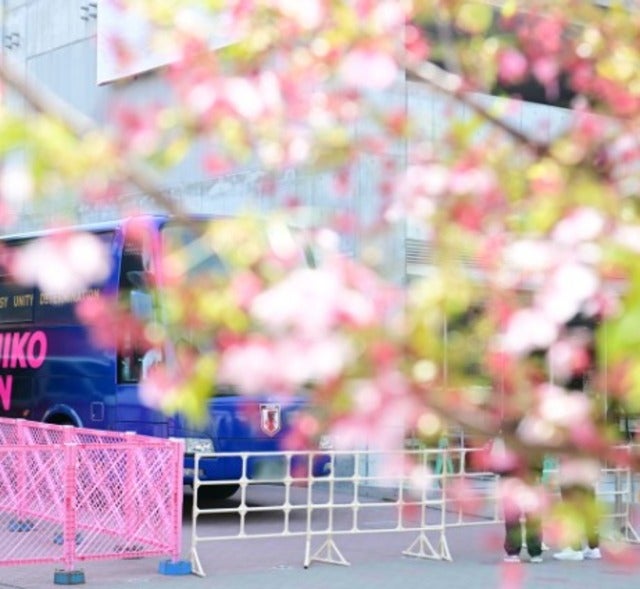 「試合のついでにお花見も」なでしこジャパンの国際親善試合まであと１日！