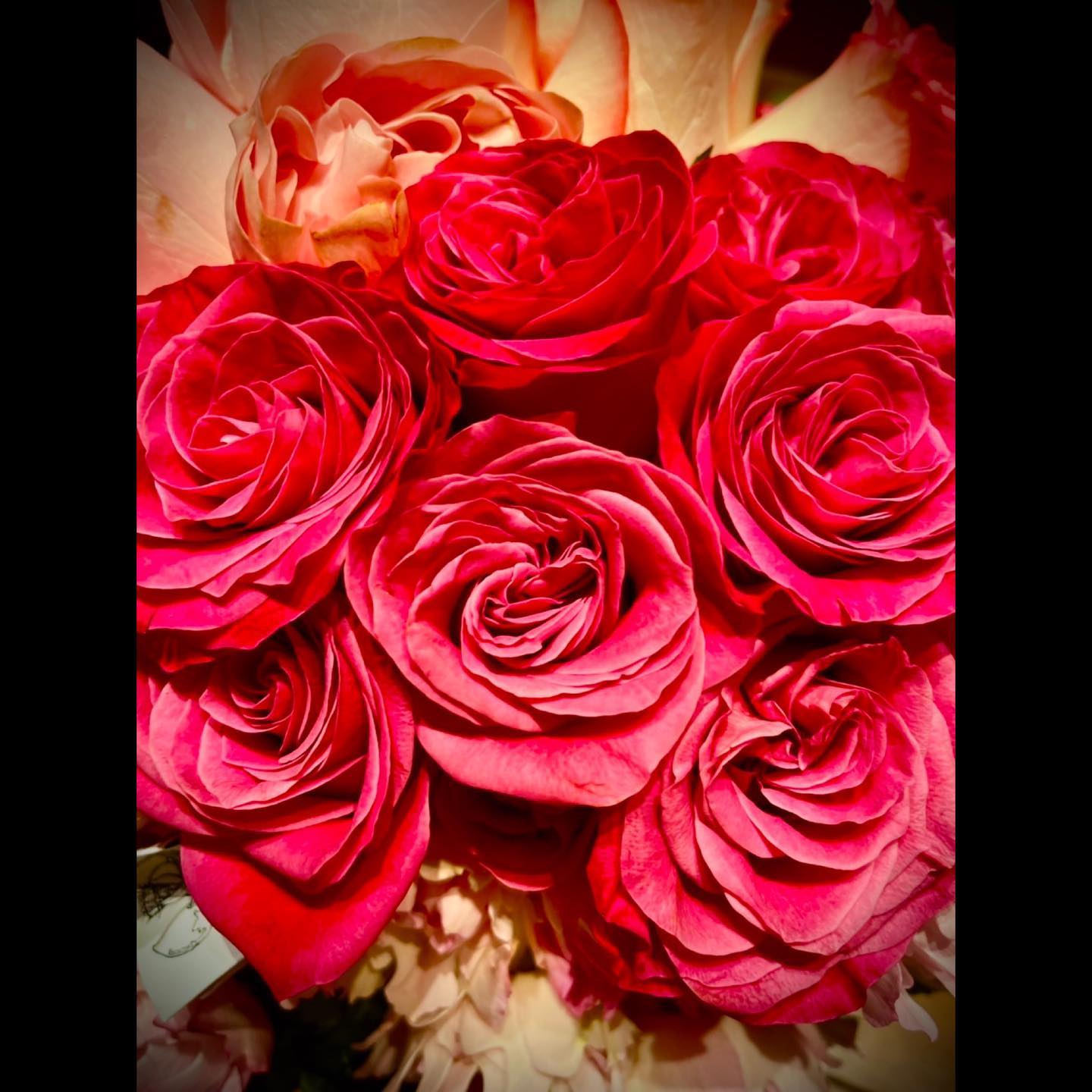 🌈木村拓哉さんが妻・工藤静香さんの誕生日を薔薇の花束🌹で祝福㊗