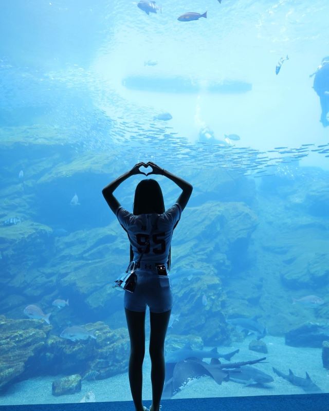 ”奇跡のチア”リンシャン、美女4人で仙台の水族館へ✨「魚もあなたに会えてうれしい」