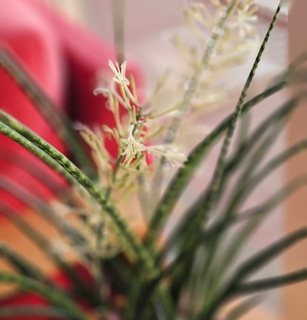 土屋太鳳が新年最初の投稿💫 温かいメッセージにファンも感謝😌💖