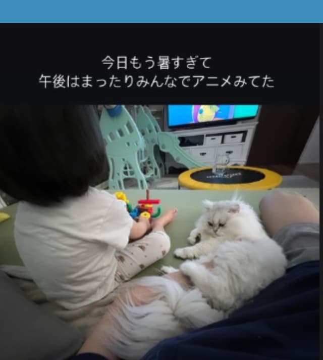 最上もがの娘さんの夏休み日記【とってもかわいいよ】