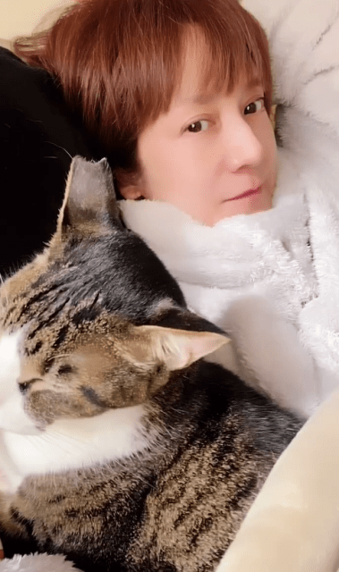 「今日はやっと風太くんとまったり」鈴木蘭々、年始の忙しさ忘れる愛猫との癒しムービーにファンほっこり