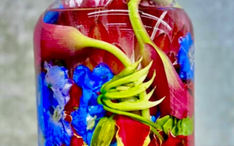 夏木マリ、“おはようシリーズ”で鮮やか花ショット投稿　「今日は暑くなるらしいよ」に優しさにじむ一言