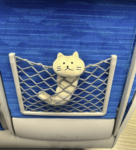 STARDOM【スターダム】 レディ・C、大阪へ向かう新幹線で気合十分「おおさかーーー！！！」