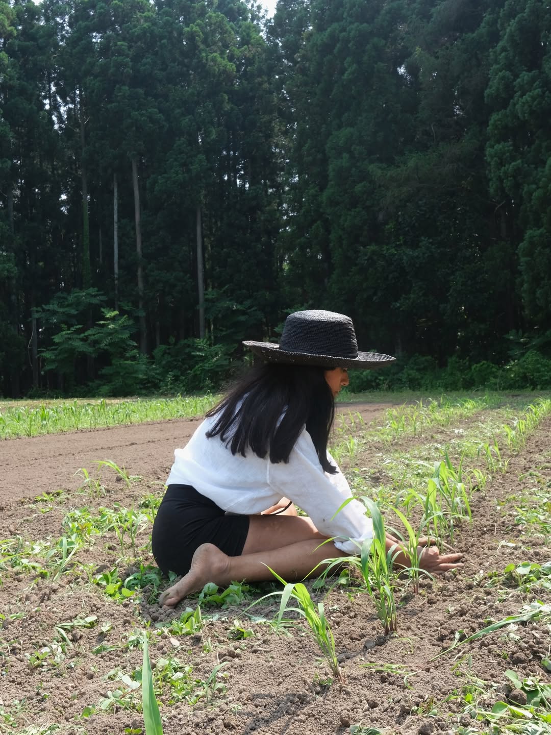 「すっごくあつくて汗びっしょり」ローラが数日かけて畑の草取り！