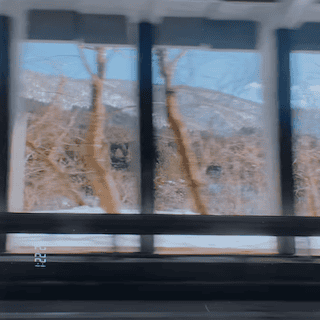 吉岡里帆がドラマ制作中止を受け思いを吐露「今年に入って考えること沢山あります」