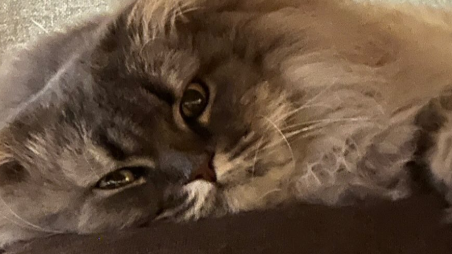 中川家・剛が投稿した“ドラえもん風ぽてと”が話題！「ポテえもん爆誕」にファン大喜び