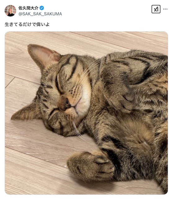 Snow Man・佐久間大介が猫の写真を公開！「生きてるだけで偉いよ」