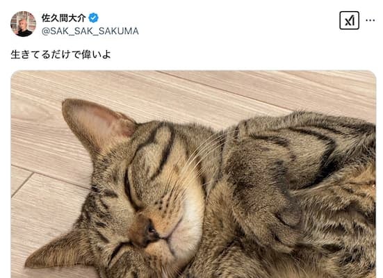 Snow Man・佐久間大介が猫の写真を公開！「生きてるだけで偉いよ」