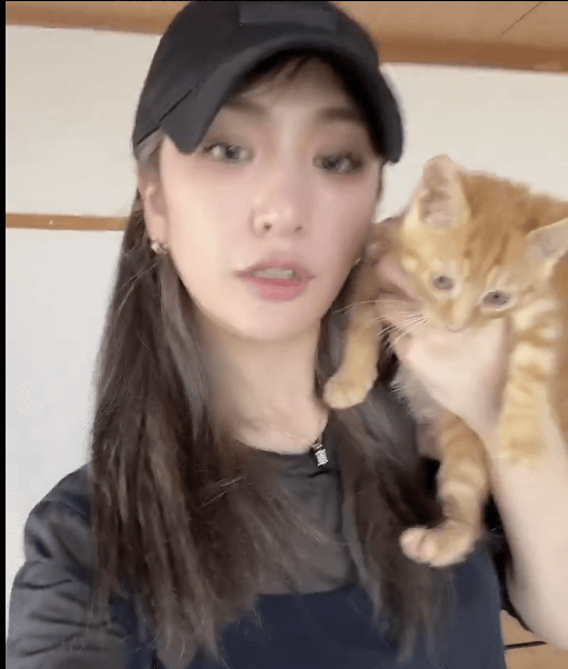 東京女子プロレス 上福ゆき、動物保護団体への思いを語る「愛さえあれば！なんて簡単な言葉では片付けられない現実」