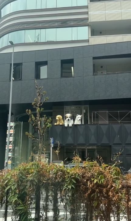 出張のご褒美？丸山桂里奈、名古屋で迎えてくれる最強の癒しとは⁉