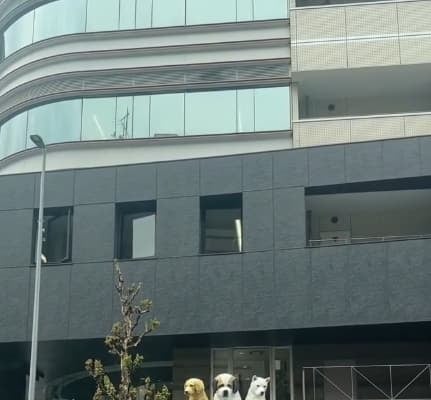 出張のご褒美？丸山桂里奈、名古屋で迎えてくれる最強の癒しとは⁉