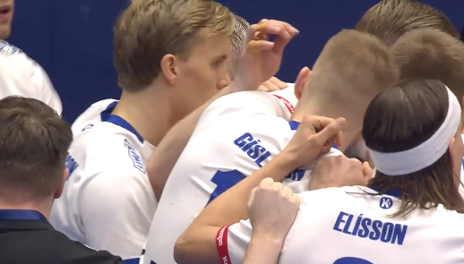 【ハンドボール】第28回男子世界選手権1/13D アイスランド vs. ポルトガル